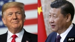 资料照：美国候任总统特朗普（左），中国领导人习近平（右）