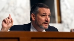 共和党联邦参议员克鲁兹（Sen. Ted Cruz, R-TX）