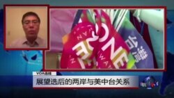 VOA连线：王维正：展望选后的两岸与美中台关系