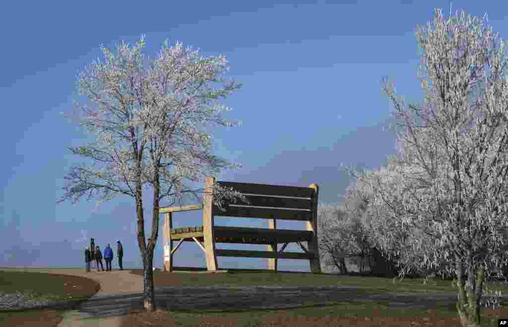Strollers stand beside a six-meter (20-feet) tall and 12-meter (40-feet) long wooden bench near Oy-Mittelberg, southern Germany.