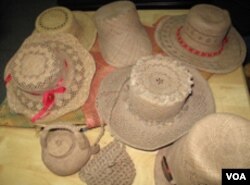 林女士的作品