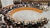 Рада Безпеки ООН одноголосно ухвалила резолюцію, яка засуджує збиття «Боїнга-777» над Україною 