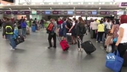 Як українці отримують політичний притулок або статус біженця у США? Відео