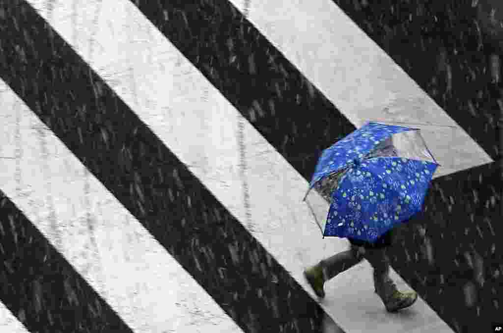 A child walks under snow falling at a pedestrian crossing in Tokyo, Japan.