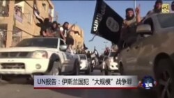 联合国：伊斯兰国犯“大规模”战争罪