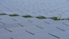 美议员拟通过停止太阳能关税豁免法案，白宫表示拜登总统将予以否决