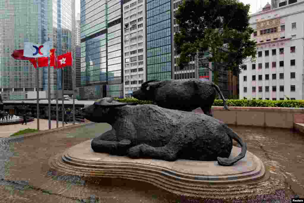 2018年1月24日,在中国香港,双牛雕塑旁边,证券交易所的旗帜和中国国旗、香港旗一起飘扬。