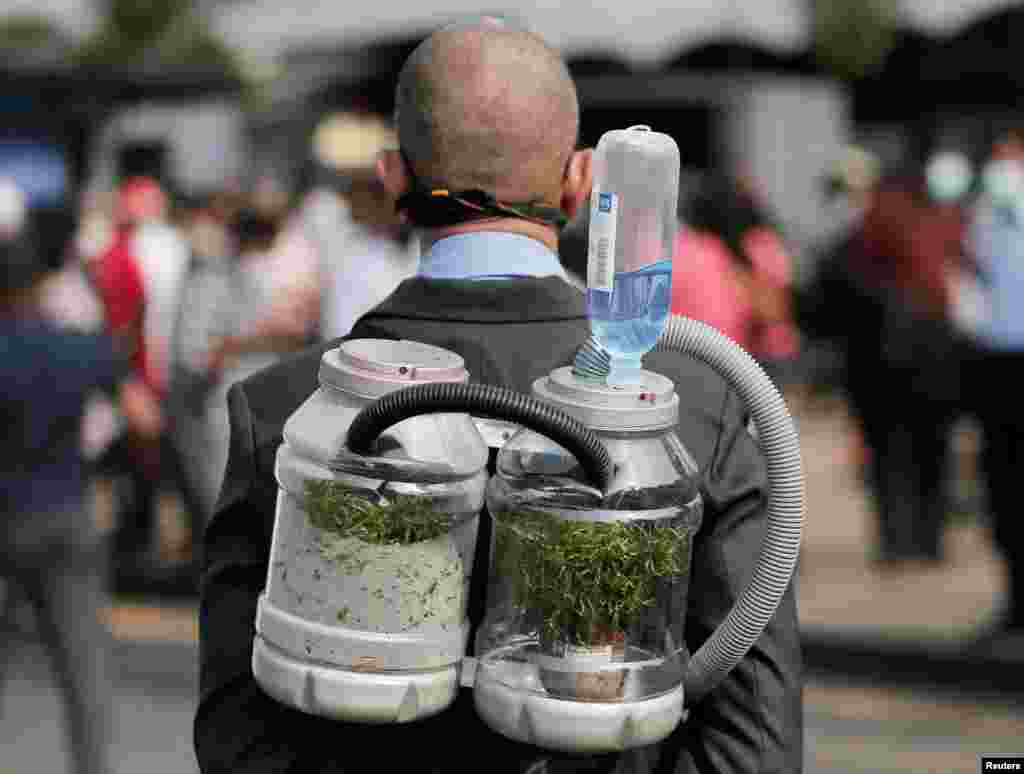 A climate activist wears an oxygen mask to demonstrate the possibility of pumping oxygen from a tree in a bottle, during a protest against the government's deforestation practices of Sri Lanka's main wildlife forests for developments in Colombo.