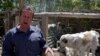 FILE - Pen Farthing, founder of British charity Nowzad, an animal shelter, stands in front of a cage on the outskirts of Kabul, May 1, 2012. 