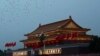 万只信鸽受“肛检” 和平使者忍辱为国庆