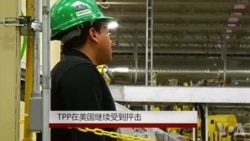 TPP 在美国继续受到抨击