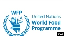 According to the U.N. estimates in its report 17%, or 931 million tons, of the food produced around the world went to waste in 2019. 