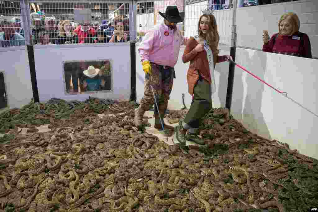 Travis Gardner assists "Miss Texas" Margana Wood as she makes her way through a pit of rattlesnakes during the Sweetwater Rattlesnake Roundup at Nolan County Coliseum in Sweetwater, Texas, March 10, 2018.