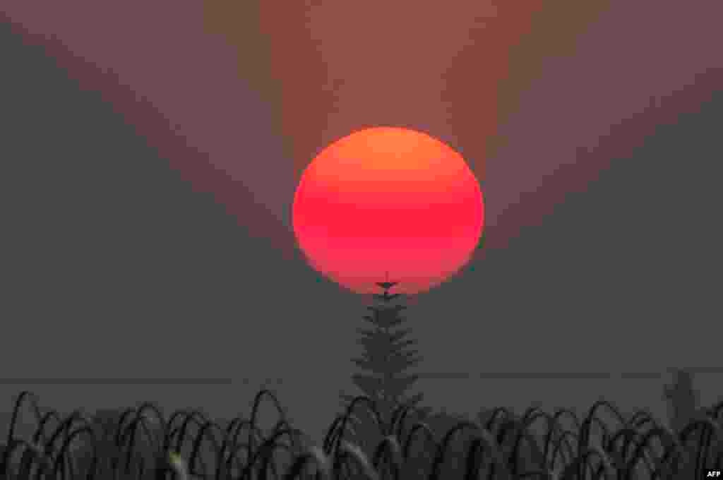 The sun, a deep red/orange from the smoke from the Thomas Fire, sets over an agricultural field in Santa Paula, California, Dec. 12, 2017.