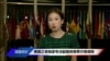 VOA专访：美副国务卿谈美台对话、芯片短缺和5G“可信网络”