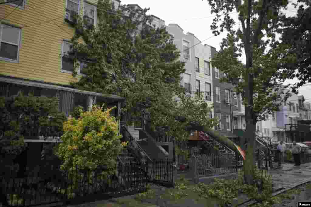 Cây đổ vào nhà cửa ở Jersey City tại bang New Jersey, ngày 29/10/2012.