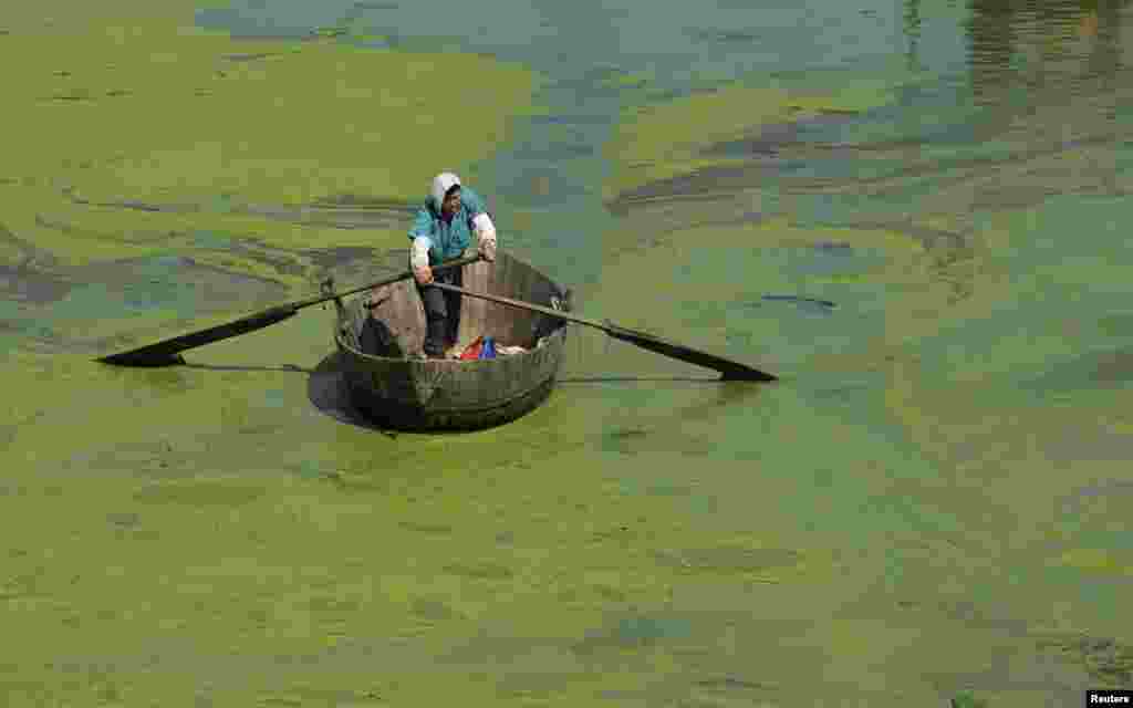 Ngư dân chèo thuyền trong Sào Hồ đầy tảo xanh ở Hợp Phì, tỉnh An Huy, ngày 3/6/2013.
