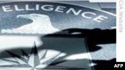 Tay đánh bom căn cứ CIA ở Afghanistan là 'gián điệp hai mang'
