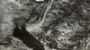 九一八80周年 台湾称国军还原抗战史实