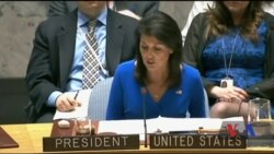 Члени Радбезу ООН засудили трагедію в Сирії. Відео