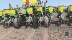 Торговельна війна у часи глобалізації: як від тарифів на Китай постраждають американські фермери. Відео