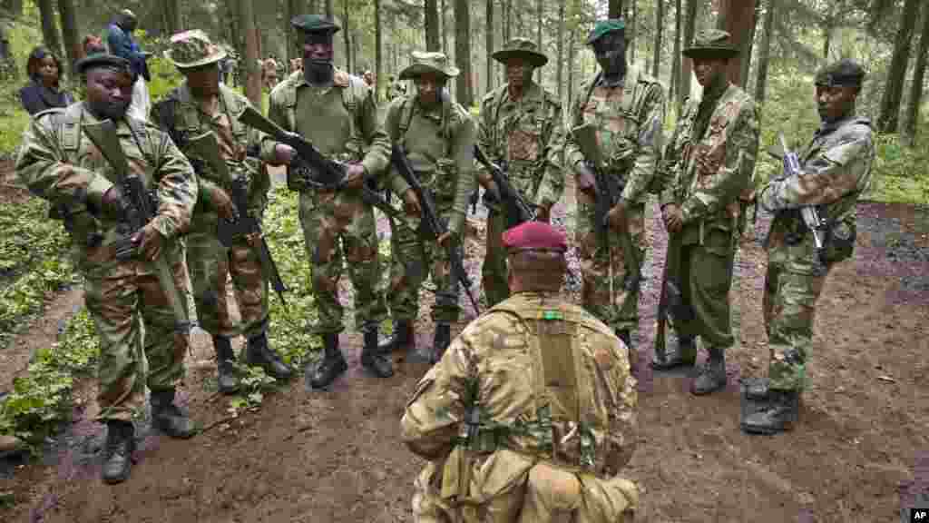 UNITED KINGDOM Rangers of the Kenya's wilflife and forest services receive field training in the Nanyuki forests from Britain's 3rd Battalion parachuters in the use of hand signals while tracking poachers. 