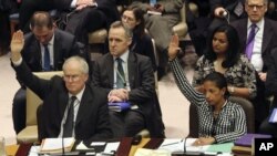 英国常驻联合国代表格兰特大使（左）与美国常驻联合国代表赖斯大使在表决时举手支持安理会有关朝鲜问题决议。（2012年1月22日）