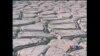 年终报道：气候变化
