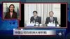 VOA连线：中国公司在欧洲大举并购
