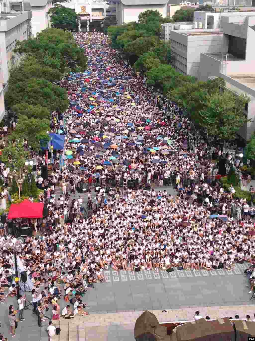 香港大专学生罢课（美国之音海彦拍摄）