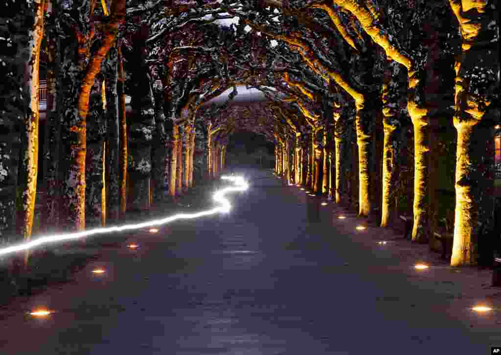 This long exposure photo shows a man cycling through an illuminated alley in Frankfurt, Germany.