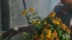 美洲艺术家齐聚美国印第安人博物馆