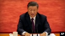 中共总书记习近在会议上讲话。（2020年9月8日）