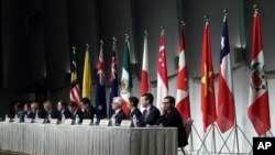 资料照：“跨太平洋伙伴全面进步协定”（CPTPP）各方代表举行联合记者会。（2019年1月19日）
