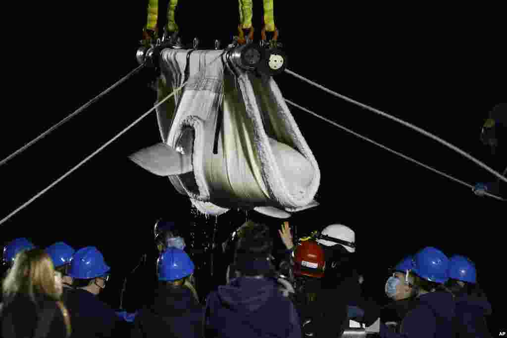A beluga whale is lowered onto a transport cart after arriving at Mystic Aquarium, May 15, 2021 in Mystic, Connecticut.