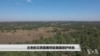 古老的贝西苗圃帮助美国保护林地