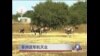 非洲进军航天业 