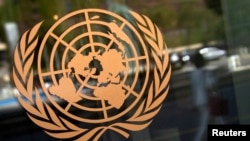 联合国标徽