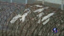 时事大家谈: 维权律师遭酷刑，中国法治蒙阴影