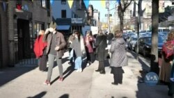 Студія Вашингтон. Законопроєкт про множинне громадянство - оцінки