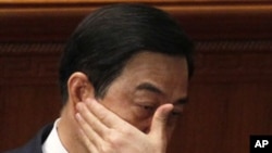 打造“重庆模式”的前重庆市党委书记薄熙来2012年3月9日出席人大时。