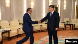 中国国家主席习近平在北京人大会堂会晤到访的世界卫生组织总干事谭德塞。（2020年1月28日）