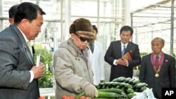 北韩领导人金正日3月4日视察平壤蔬菜科学研究院