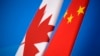 中国再次报复加拿大暂停第二个加公司油菜籽进口 
